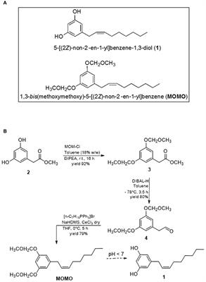 The Natural Compound Climacostol as a Prodrug Strategy Based on pH Activation for Efficient Delivery of Cytotoxic Small Agents